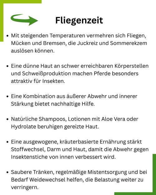 Sommerzeit Fliegenzeit Pferd Summary