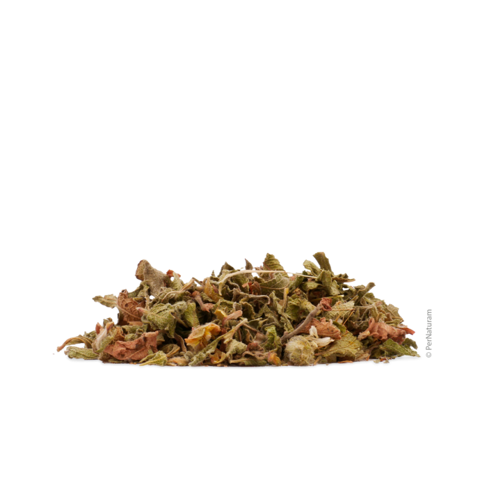 Kretenzische Cistusroos (200 g)