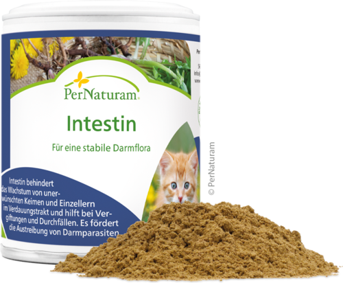 Intestin - Voor een stabiele darmflora