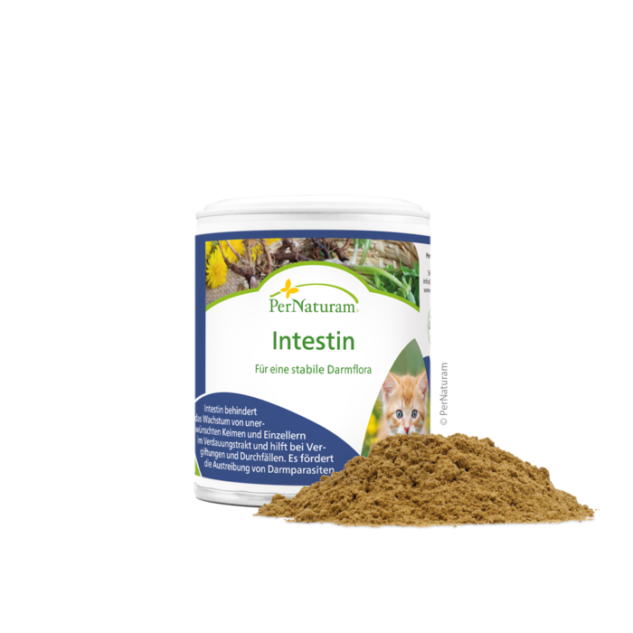 Intestin - Voor een stabiele darmflora