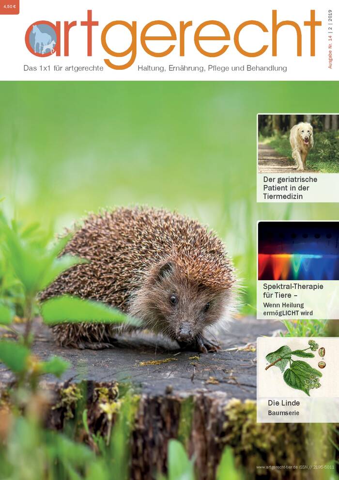 artgerecht - September 2019  Ausgabe 14