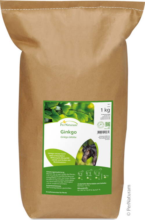 Ginkgo (1 kg)
