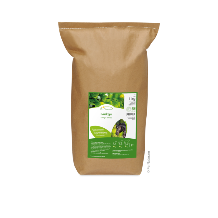 Ginkgo (1 kg)