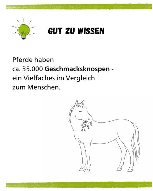 Artg Pferdefütterung Gut zu Wissen kurz & knapp