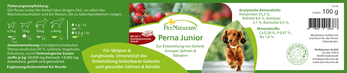 Perna junior