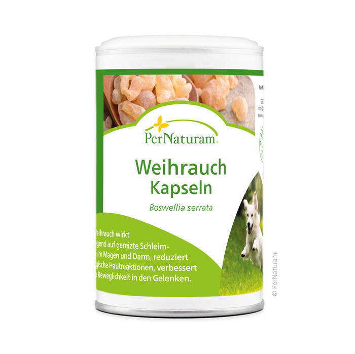 Wierook capsules 100 Stk
