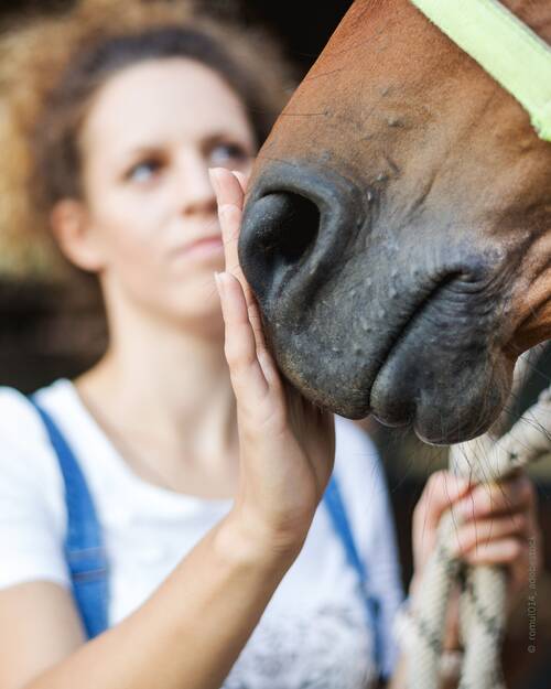 Ausleitung Pferd Bild 2