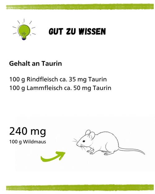 Artgerechte Katzenfütterung Kurz & Knapp Taurin