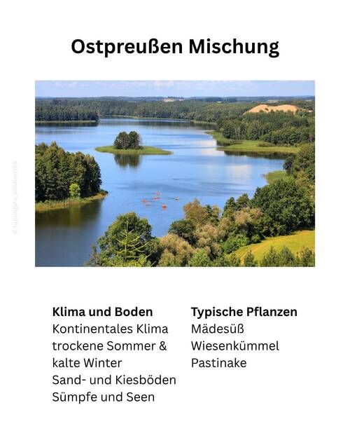 Blog Ostpreußen