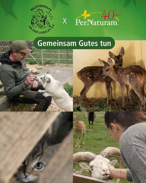 Gemeinsam helfen
