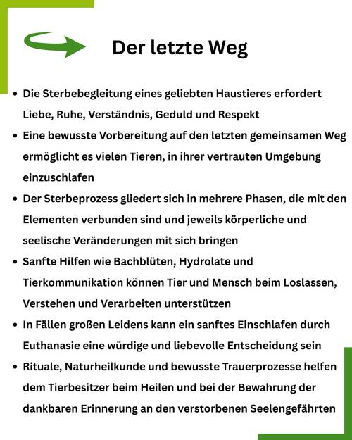 Sterbebegleitung Summary