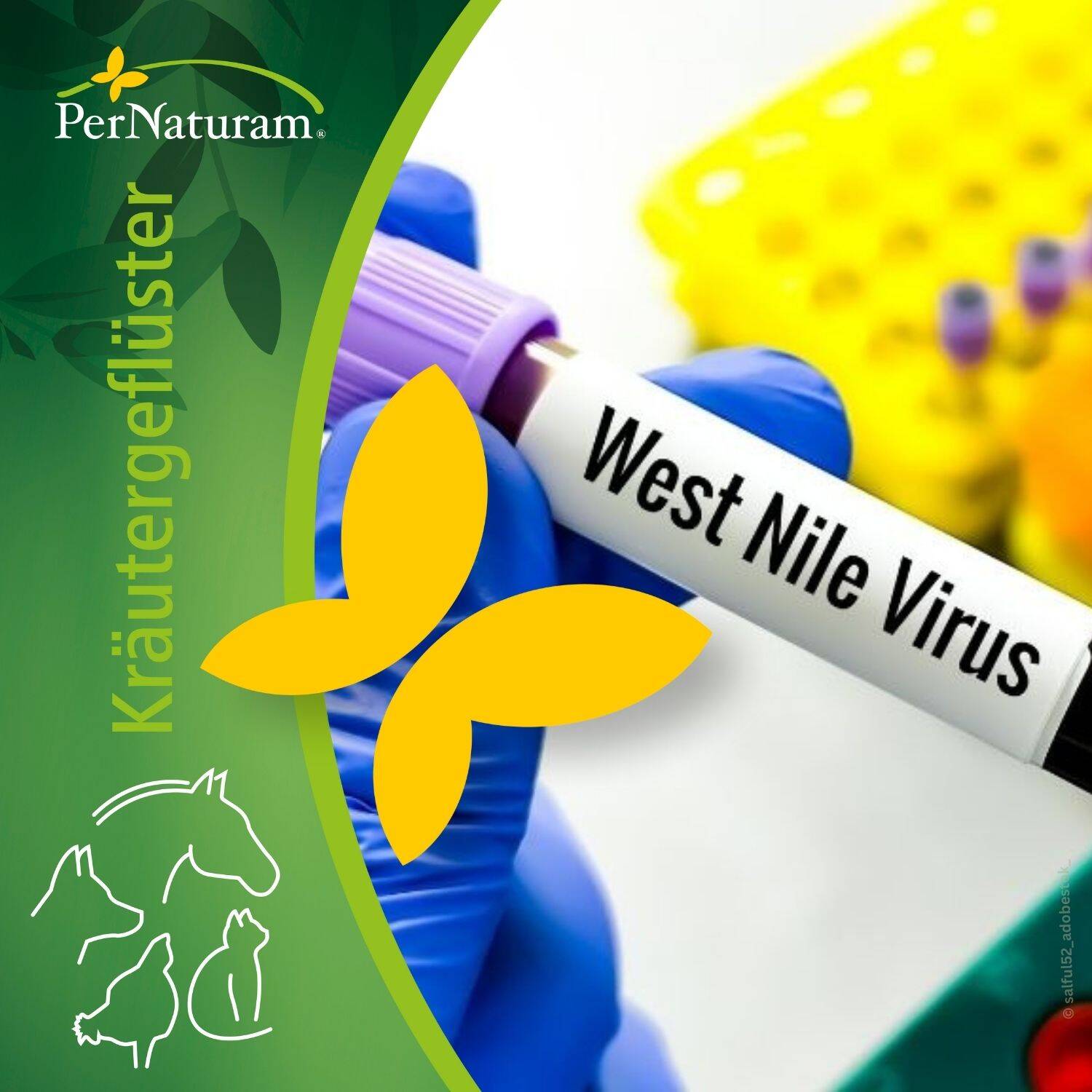 podcast/west-nil-virus