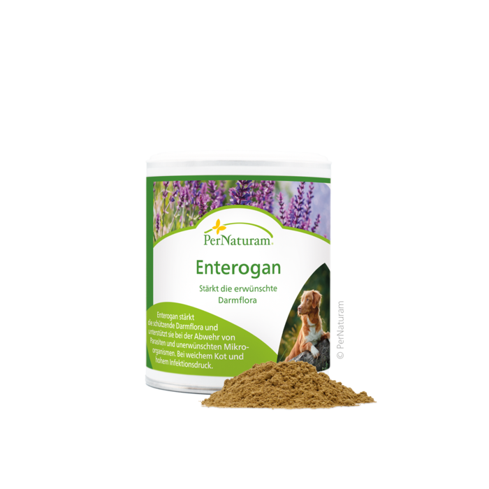 Enterogan 100 g