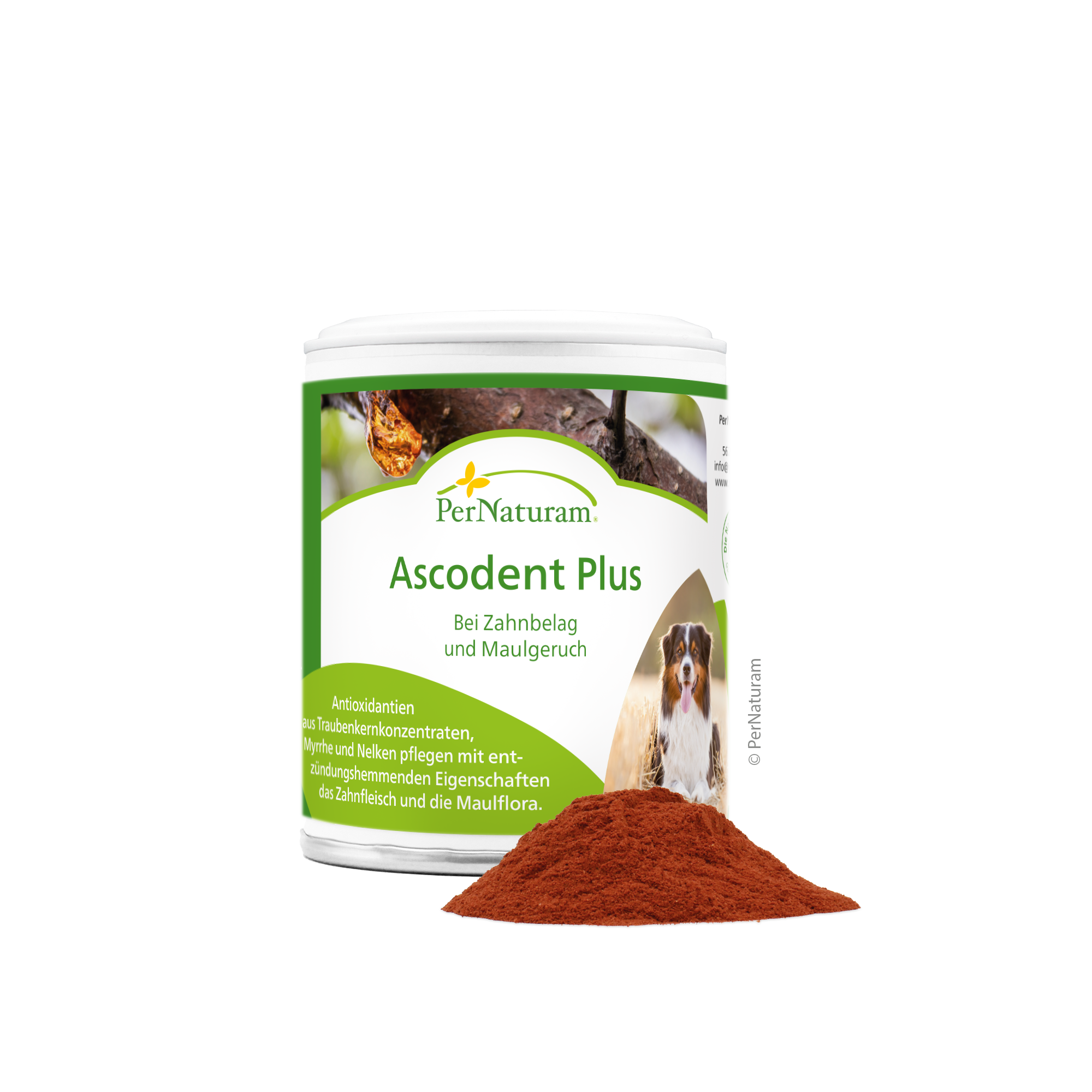 Ascodent Plus