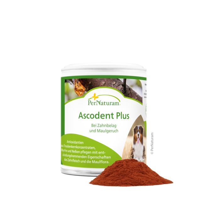 Ascodent Plus 50 g