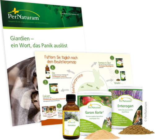 GiarExil - Pakket Hond