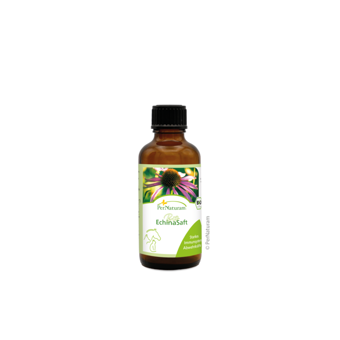 Biologische Echinasap 50 ml