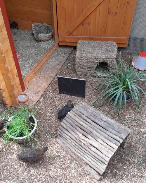 Wachten Bild 2