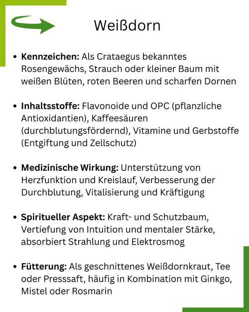 Weißdorn Blog Tafel 1