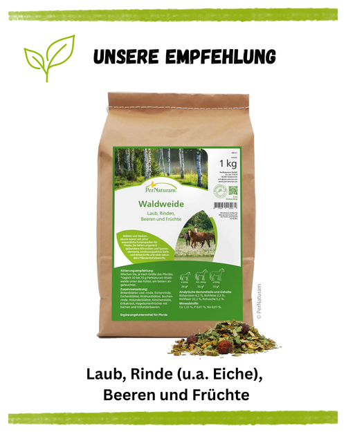 Eiche kurz und knapp Empfehlung
