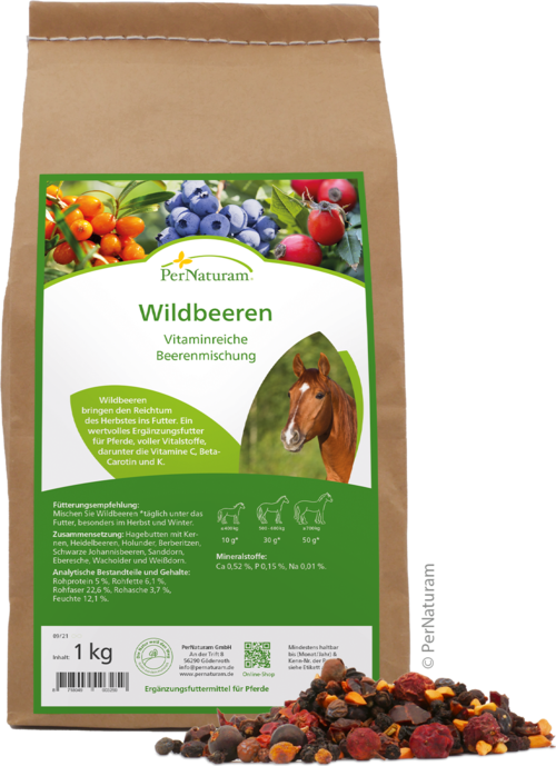 Wilde bessen