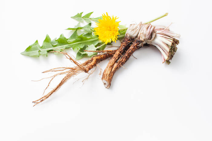 AdobeStock 349919037 ekramar
