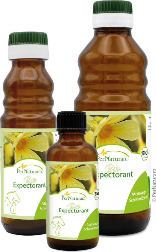 Bio Expectorant