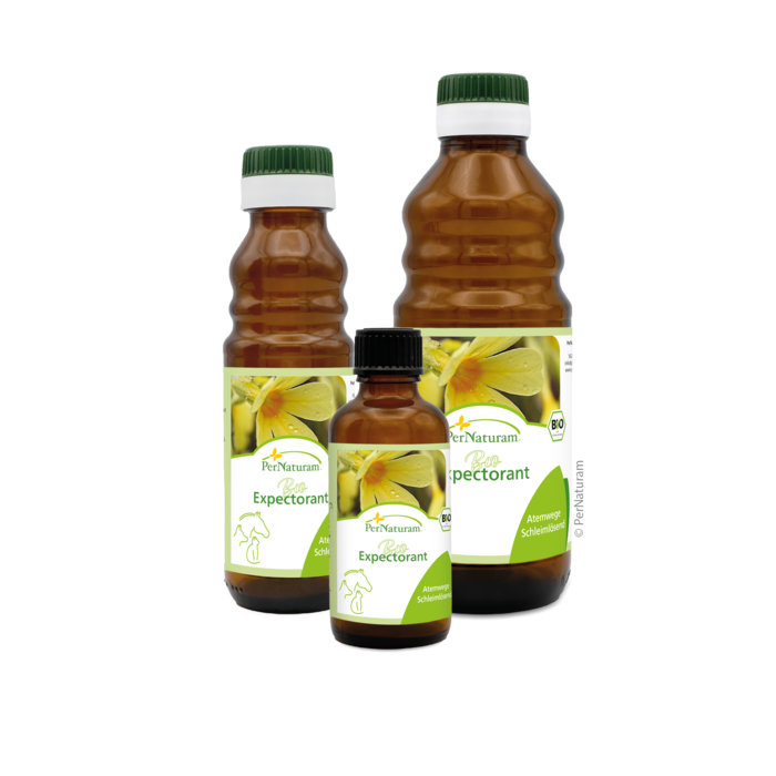 Bio Expectorant BronchialSaft
