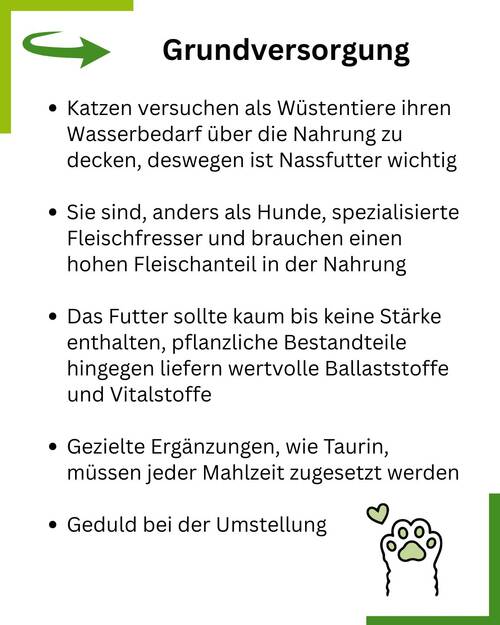 Artgerechte Katzenfütterung Lange Version Summary