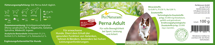 Perna Adult - GelenkSchutz