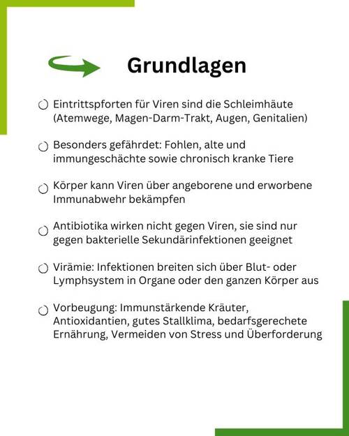 Grundlagen Textgrafik