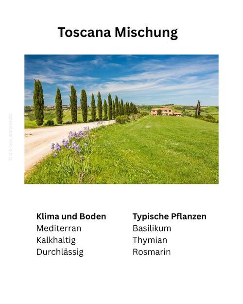 Blog Toscana