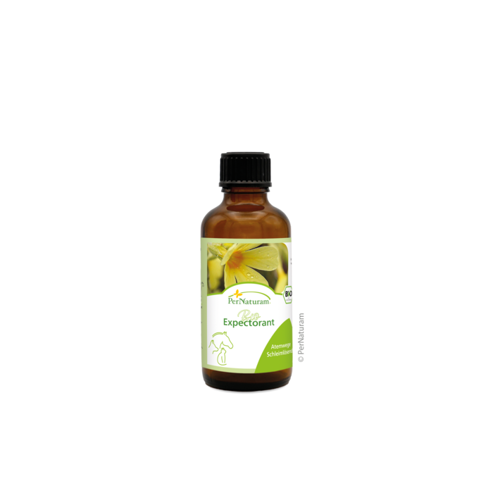 Bio Expectorant BronchialSaft 50 ml