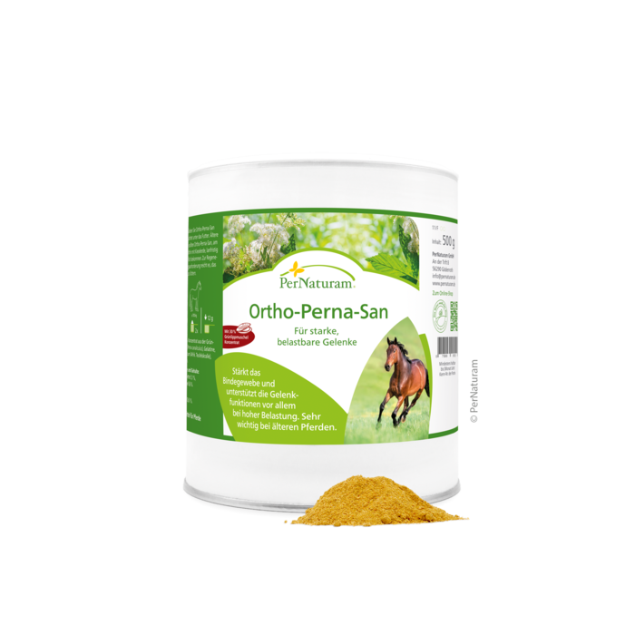 Ortho-Perna-San GelenkAktiv 500 g