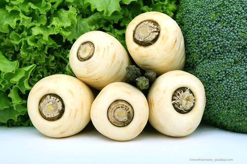 blog/wintergemuese-und-obst