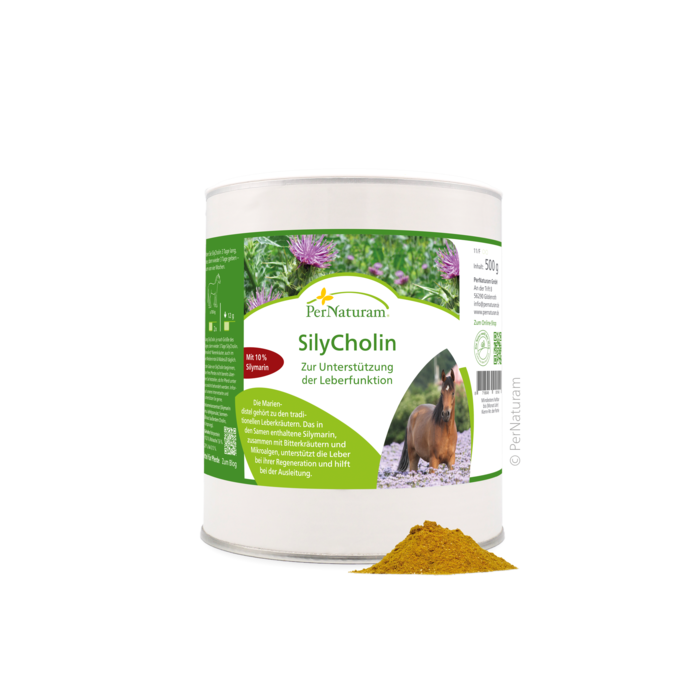 SilyCholin 500 g