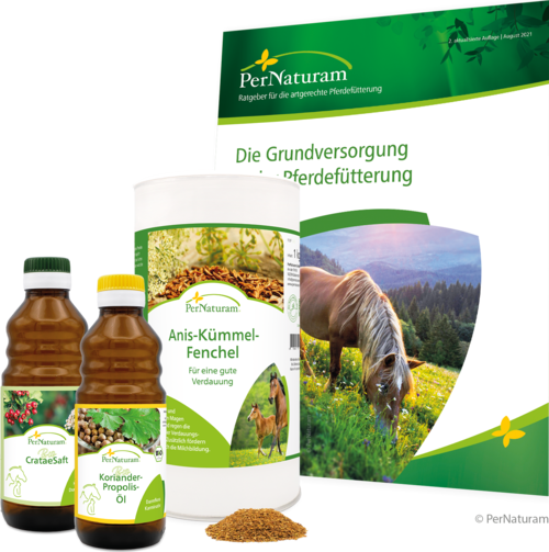 Zusatzfutter für Pferd: Hilfe bei Darmproblemen