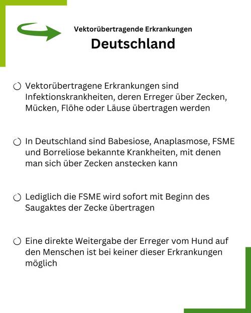 Summary Reisekrankheiten Deutschland