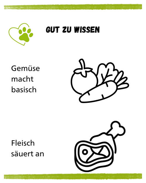 PH Hund Ansäuern
