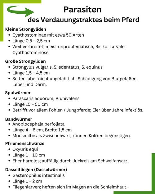 Wuermer Pferd Summary