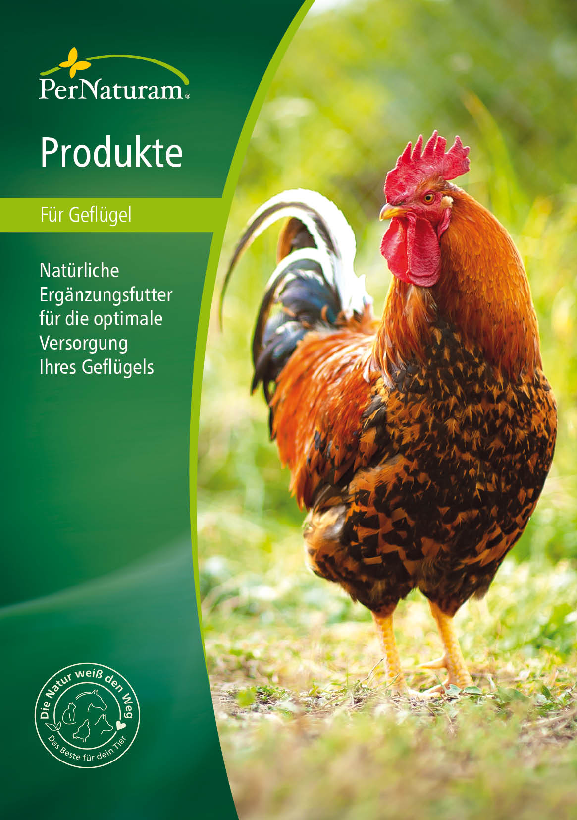 Produktkatalog Geflügel (Deutsch)