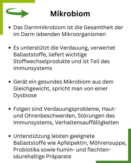 Mikrobiom Hund Summary