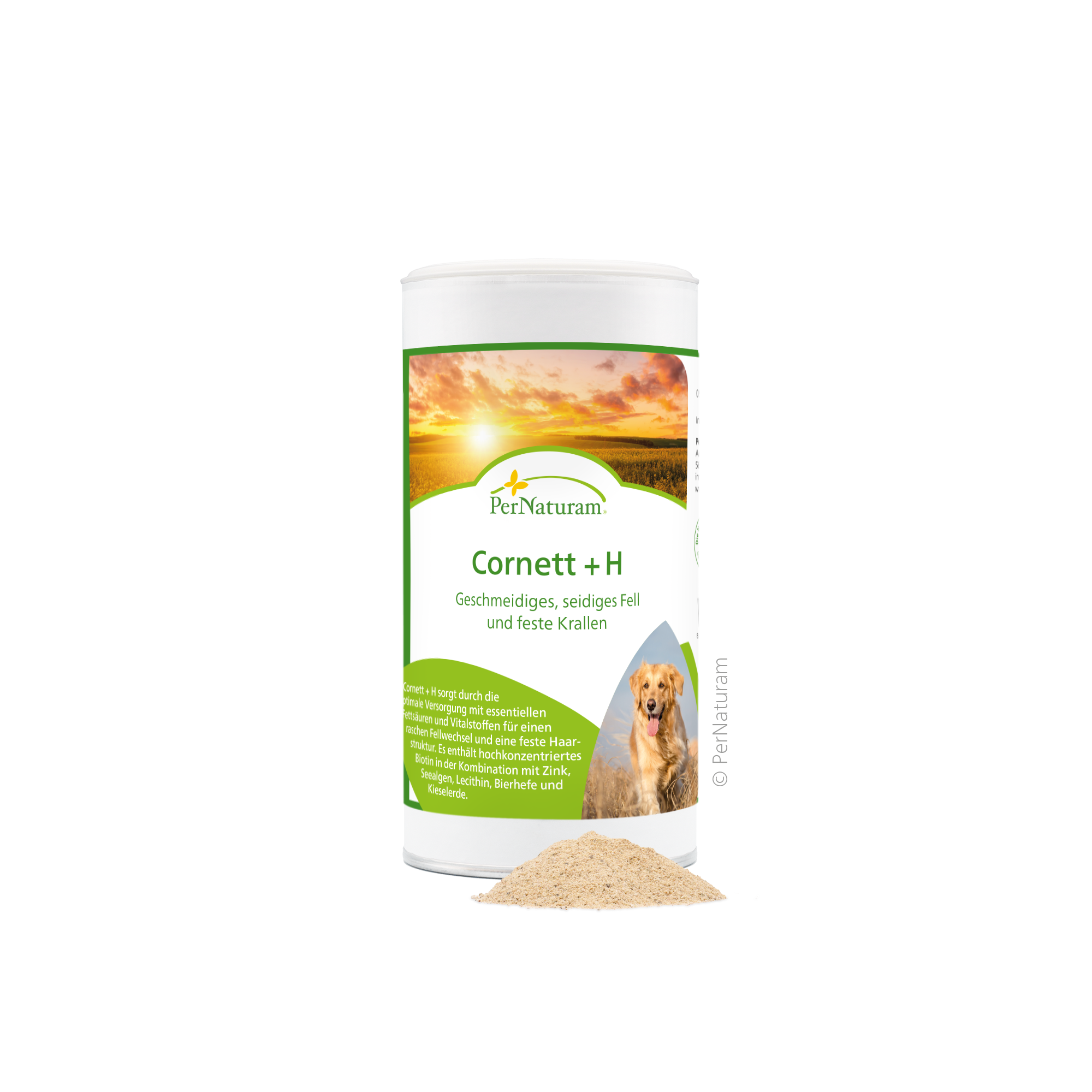 Cornett + H