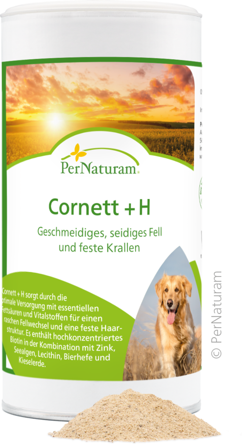 Cornett + H