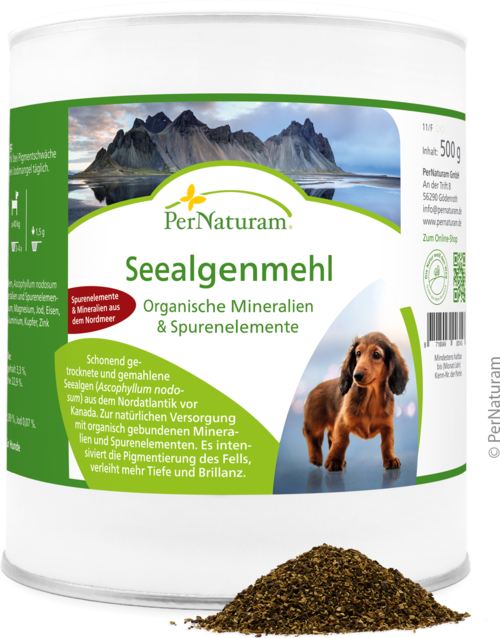Zeewiermeel