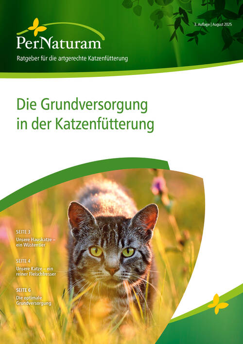 De basisvoeding voor katten