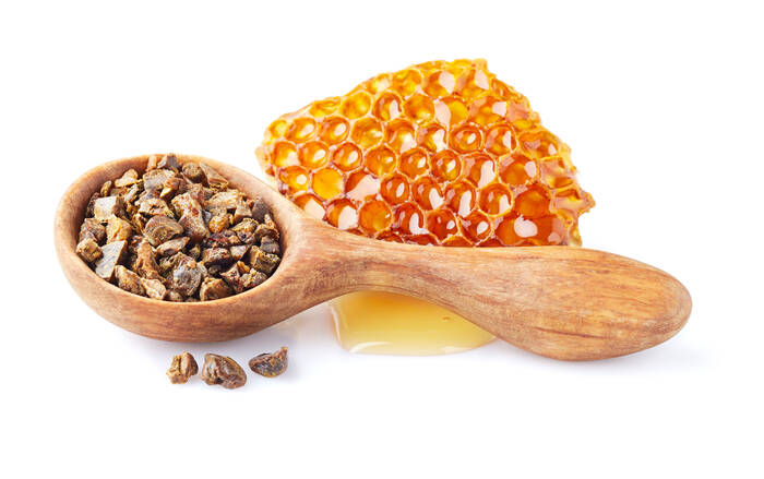 AdobeStock 236927896 Bienenwachs ©Dionisvera