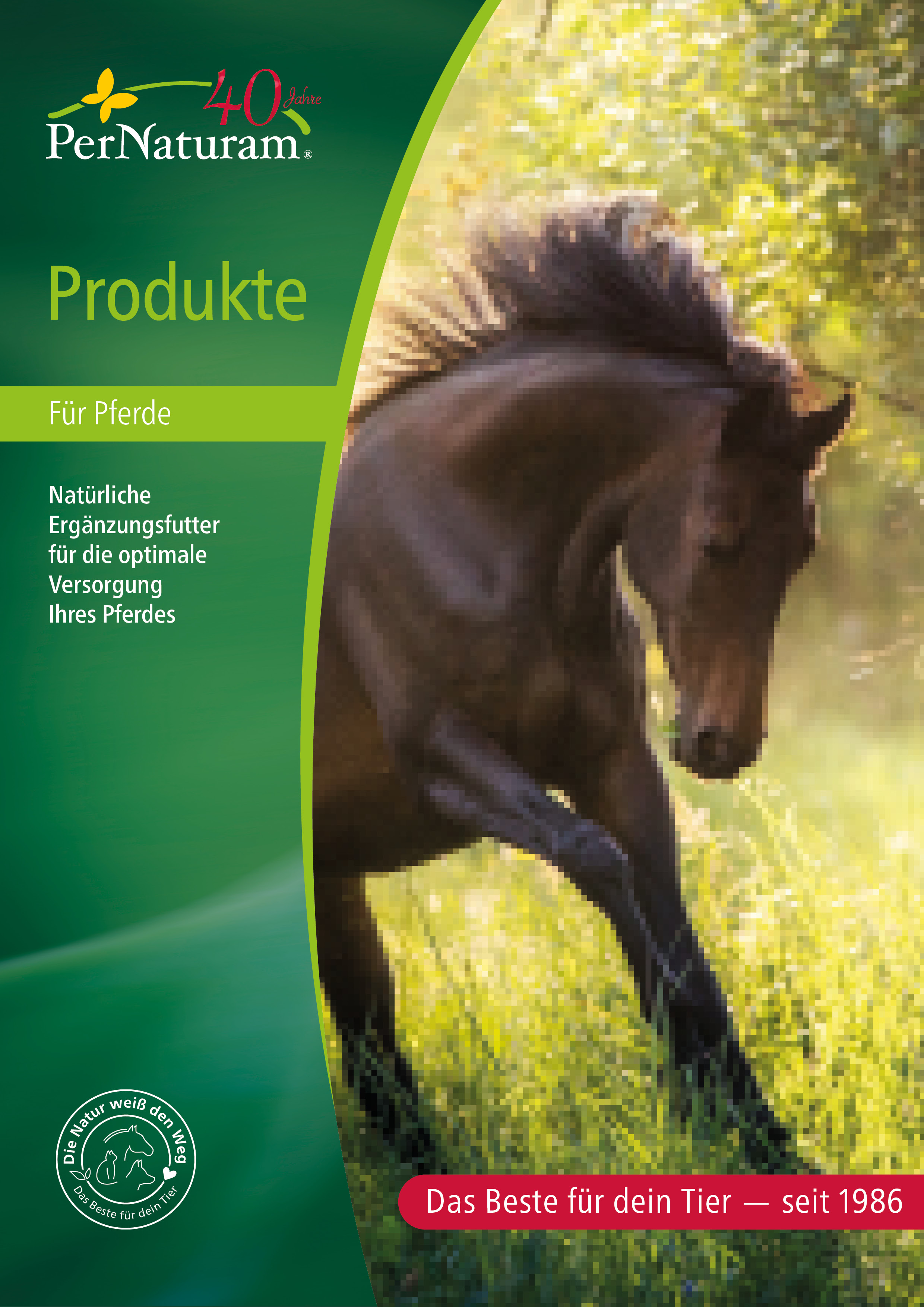 Productcatalogus paarden