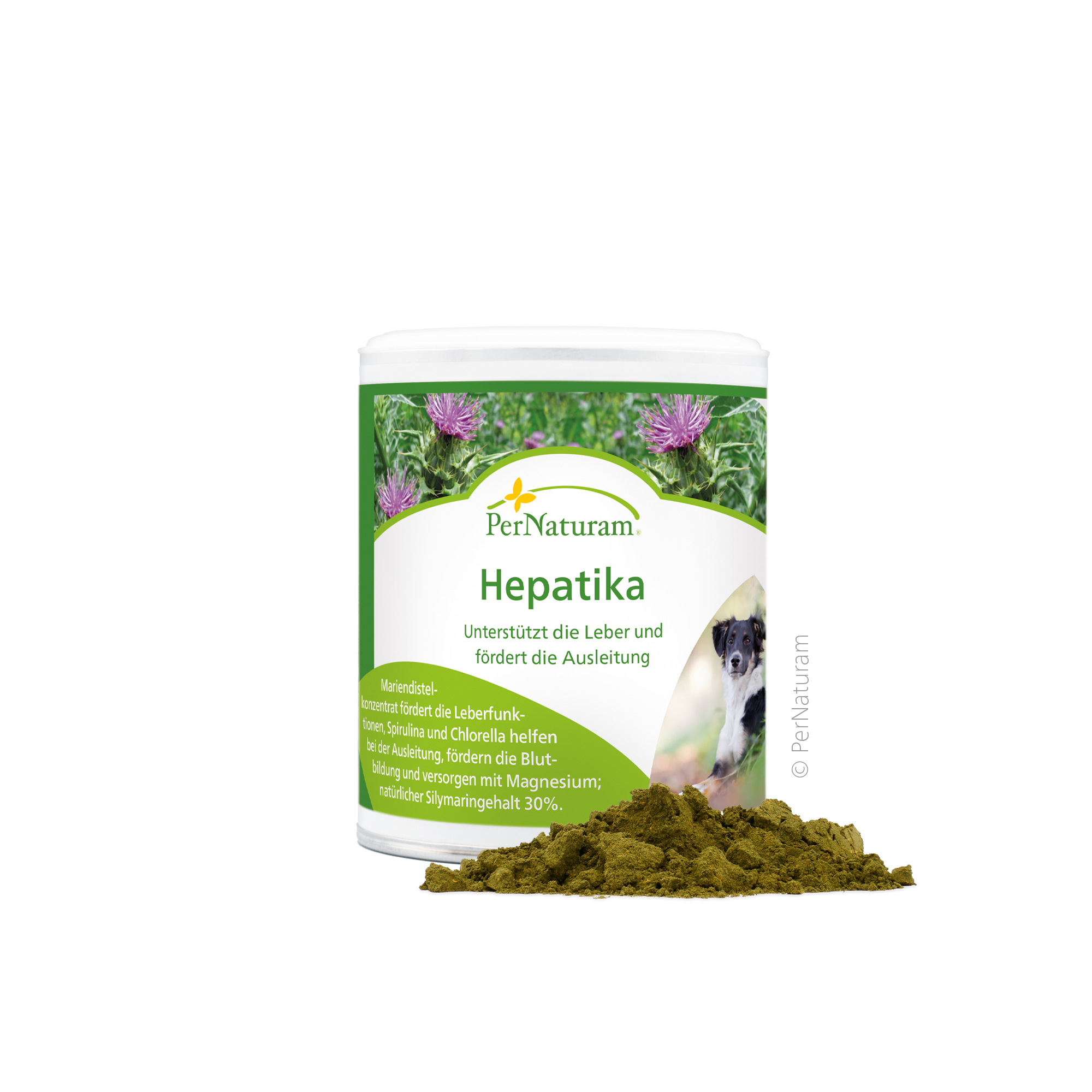 Hepatika