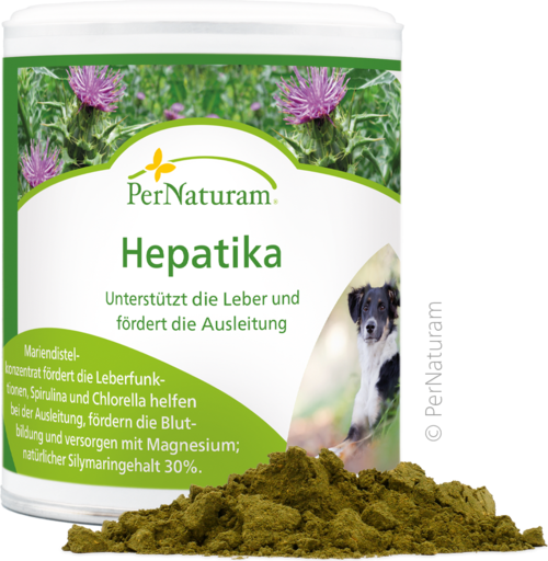Hepatika